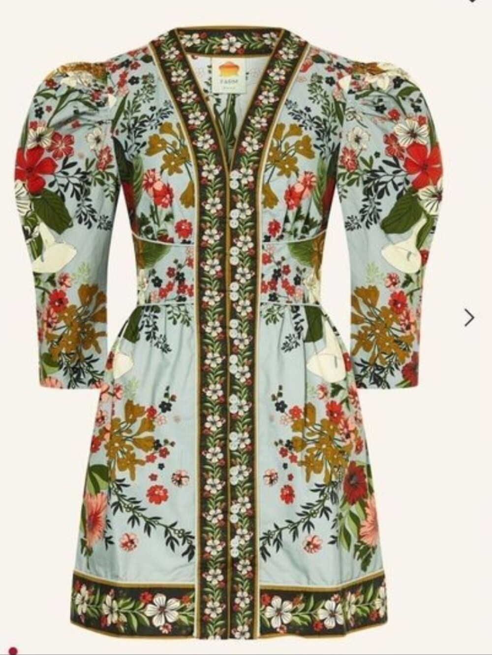 FARM Rio Beauty Bouquet Sky Blue Floral Embroidered Mini Dress Cotton Size XL - Picture 4 of 16
